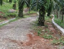 Pembangunan Jalan Sentral Produksi di Bengkulu Selatan Diduga Asal Jadi