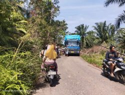 Truk Fuso Tersangkut Kabel Listrik, Jalan Menuju Seluma Utara Macet