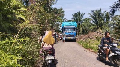 Truk Fuso Tersangkut Kabel Listrik, Jalan Menuju Seluma Utara Macet