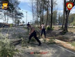 Respon Cepat Ditsamapta Polda Bengkulu Evakuasi Pohon Tumbang di Jalan Pariwisata