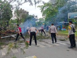 Polresta Bengkulu Evakuasi Pohon Tumbang di Kawasan Pantai Panjang
