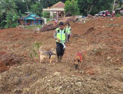 Polri Kerahkan Anjing Pelacak dalam Pencarian Korban Longsor Cilacap