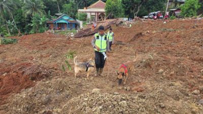 Polri Kerahkan Anjing Pelacak dalam Pencarian Korban Longsor Cilacap