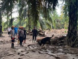 Tim K9 Polri Temukan Titik Korban di Bantaran Sungai Huta Raja
