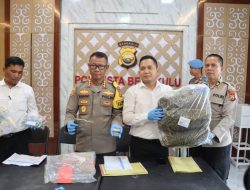 Polresta Bengkulu Bongkar Senpi Rakitan dan 4 Kg Ganja, Pelaku Lawan Petugas Saat Ditangkap