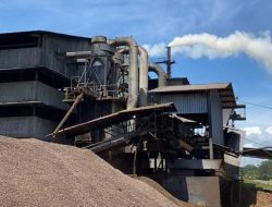 Asap PT PMS Disorot Media, DLH Bengkulu Tengah Langsung Datangi Pabrik