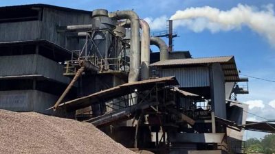 Asap PT PMS Disorot Media, DLH Bengkulu Tengah Langsung Datangi Pabrik