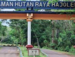 Menjaga Hutan Bengkulu: Antara Pilihan Kebijakan dan Ancaman Musibah Besar