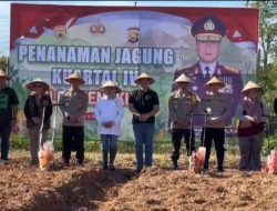 Kapolresta Bengkulu Dukung Penanaman Jagung Serentak di Kelurahan Surabaya
