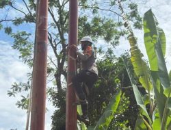 Pasca Bencana, Pemulihan Listrik Capai 100% di Wilayah Sumbar