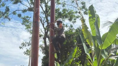 Pasca Bencana, Pemulihan Listrik Capai 100% di Wilayah Sumbar