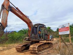 Penertiban Tambang dan Sawit Ilegal, Pemerintah Tambah Rp142 Triliun ke Kas Negara