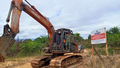 Penertiban Tambang dan Sawit Ilegal, Pemerintah Tambah Rp142 Triliun ke Kas Negara
