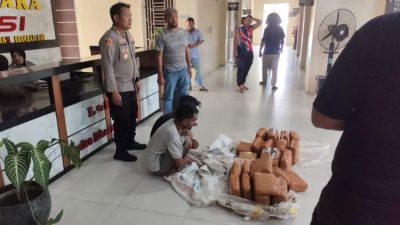 Petugas Polres Aceh Tenggara mengamankan barang bukti 50,7 kilogram ganja hasil pengungkapan di Desa Kati Maju, Ketambe