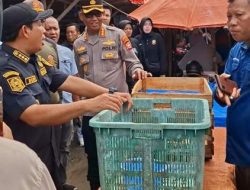 PK5 dan Parkir Sembarangan Ditertibkan, Walikota–Kapolresta Bengkulu Pantau Langsung