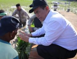 Pemerintah Gaji Petani Pulihkan Sawah Terdampak Bencana