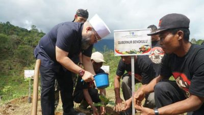Gubernur Bengkulu Luncurkan Kopi Merah Putih, Petani Naik Kelas