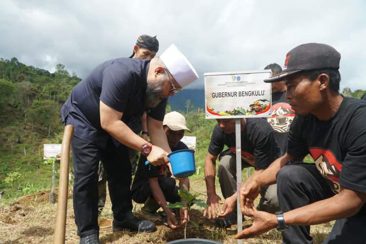 Gubernur Bengkulu Helmi Hasan saat peluncuran penanaman Kopi Merah Putih di Desa Mangku Rajo, Lebong Selatan, Kabupaten Lebong.