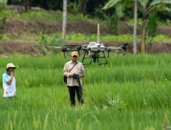 Teknologi Pertanian Perkuat Swasembada Pangan