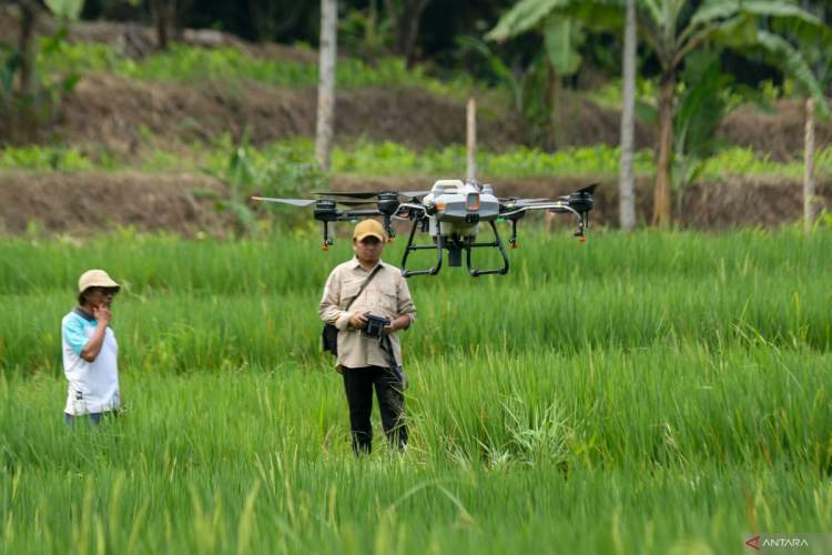 Wakil Presiden Gibran Rakabuming Raka meninjau inovasi teknologi pertanian berbasis AI di Universitas Kristen Satya Wacana