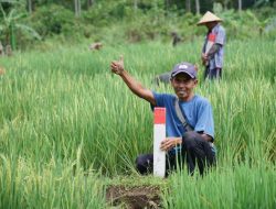 Cek Batas Tanah Saat Mudik, Cegah Konflik Tetangga