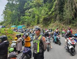 Pemangkasan Pohon di Perbatasan Kepahiang