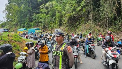 Pemangkasan Pohon di Perbatasan Kepahiang