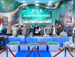Polda Riau Bongkar Jaringan Pemburu Gajah Sumatera, 15 Tersangka Ditangkap