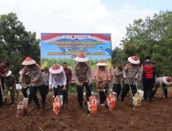 Kapolda Bengkulu Pimpin Tanam Raya Jagung di Bengkulu Tengah