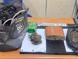 Polda Bengkulu Bekuk Pengedar Ganja, Tiga Paket Besar Disita dari Dua Lokasi