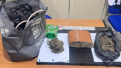 Petugas Ditresnarkoba Polda Bengkulu menunjukkan barang bukti ganja hasil penangkapan pengedar di Kota Bengkulu