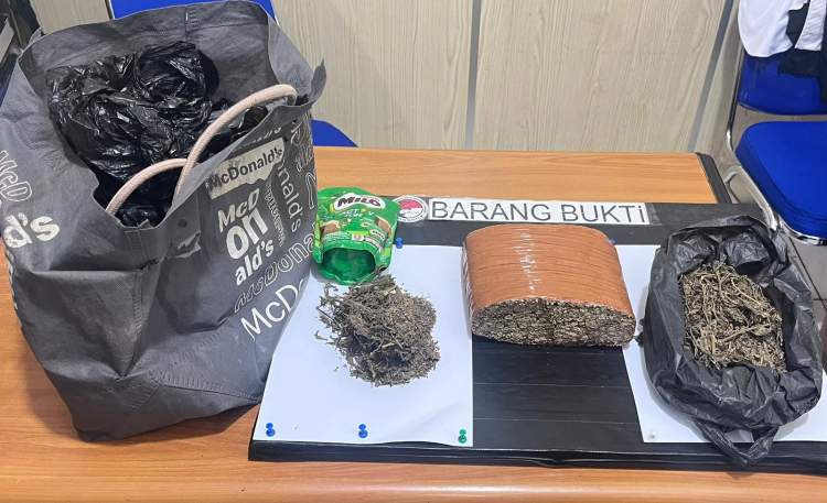 Petugas Ditresnarkoba Polda Bengkulu menunjukkan barang bukti ganja hasil penangkapan pengedar di Kota Bengkulu