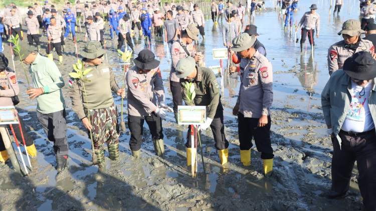 Kapolda Aceh Marzuki Ali Basyah dan personel Polda Aceh menanam mangrove di pesisir Gampong Alue Naga, Banda Aceh, sebagai bagian Green Policing.