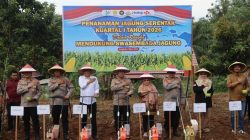 Bupati Bengkulu Tengah Rachmat Riyanto menghadiri kegiatan penanaman jagung serentak di Pondok Kelapa Bengkulu Tengah.