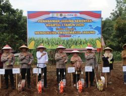 Bupati Rachmat Riyanto Dukung Tanam Jagung Serentak di Bengkulu Tengah