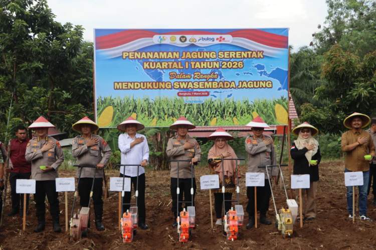 Bupati Bengkulu Tengah Rachmat Riyanto menghadiri kegiatan penanaman jagung serentak di Pondok Kelapa Bengkulu Tengah.
