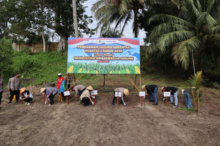 Kapolresta Bengkulu bersama kelompok tani mengikuti tanam raya jagung serentak nasional di lahan pertanian Kampung Melayu Kota Bengkulu.