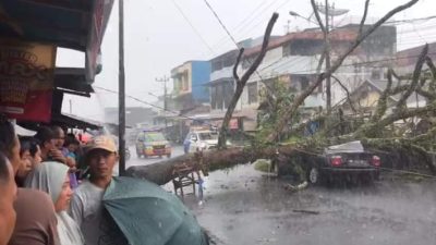 Mobil sedan tertimpa pohon tumbang akibat hujan deras di kawasan Pasar Atas Curup Rejang Lebong.
