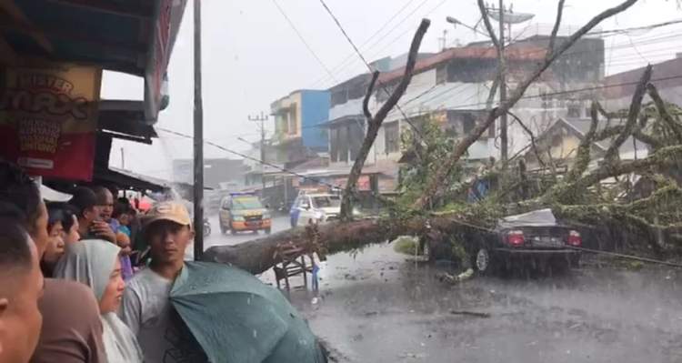 Mobil sedan tertimpa pohon tumbang akibat hujan deras di kawasan Pasar Atas Curup Rejang Lebong.