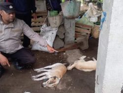 Petani Tersambar Petir, Polisi Ujan Mas Gerak Cepat Evakuasi