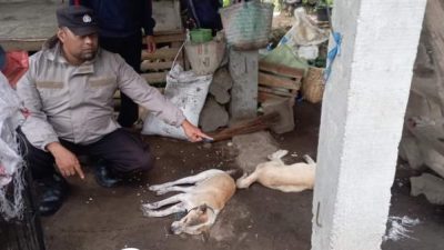 Petani Tersambar Petir, Polisi Ujan Mas Gerak Cepat Evakuasi