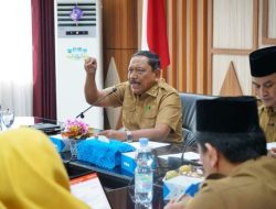 Wagub Mian Dorong Tim Solid Genjot PAD Bengkulu
