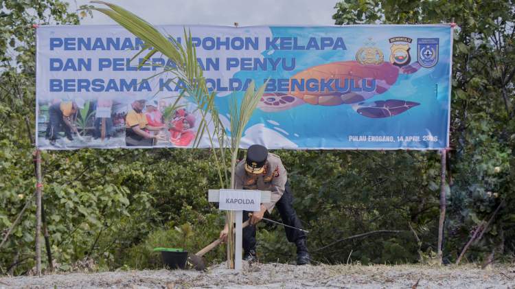 Kapolda Bengkulu Irjen Pol Mardiyono menanam pohon dan melepas tukik di Pantai Enggano bersama masyarakat