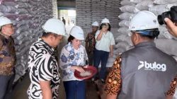 Anggota DPD RI Elisa Ermasari meninjau gudang beras BULOG Kanwil Bengkulu.