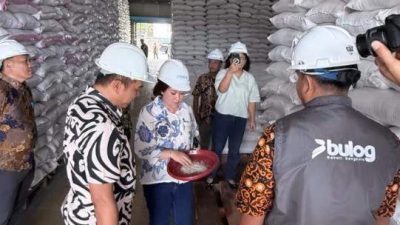 Anggota DPD RI Elisa Ermasari meninjau gudang beras BULOG Kanwil Bengkulu.
