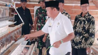 Tim kecamatan meninjau usaha ayam petelur milik BUMDes Desa Tanjung Raman di Bengkulu Selatan.