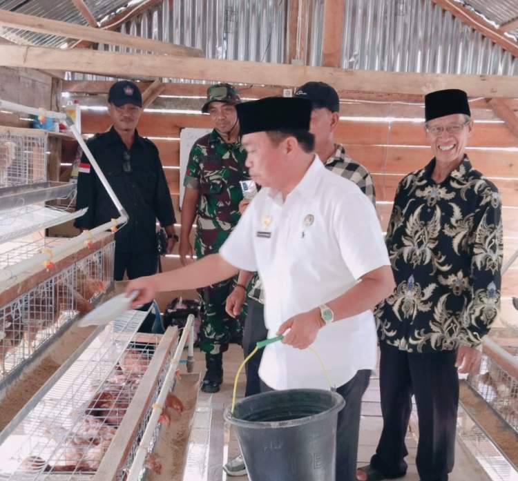 Tim kecamatan meninjau usaha ayam petelur milik BUMDes Desa Tanjung Raman di Bengkulu Selatan.