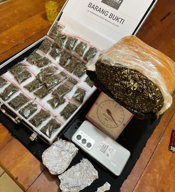Polisi menunjukkan barang bukti ganja hasil pengungkapan kasus di Bengkulu Selatan